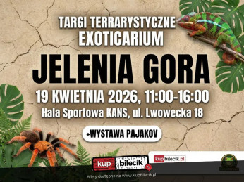 Jelenia Góra Wydarzenie Inne wydarzenie Exoticarium w Jeleniej Górze! Targi Terrarystyczne i Wystawa Pająków